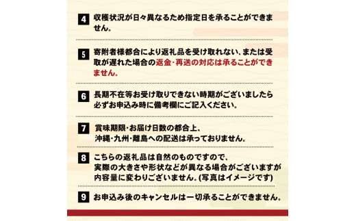 数量/期間限定】 生ウニ 150g 岩手県産 冷蔵 雲丹 無添加 ミョウバン不