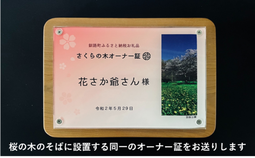 桜の木 1本 の オーナー権 及び オーナー証 | 北海道 釧路町 別保公園