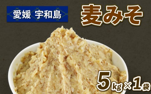 麦みそ 1kg ×5個 井伊商店 発酵調味料 麦味噌 味噌 国産 愛媛 宇和島