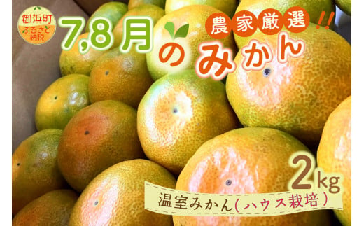 7月8月の御浜柑橘　温室みかん2キロ 果物 フルーツ みかん 温室みかん 2kg 771898 - 三重県御浜町