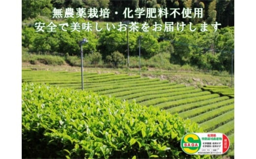 【無農薬栽培】基山茶高級煎茶2袋セット【お茶 緑茶 基山茶 基山町 高級 煎茶 旨み 渋み 美味しい 無農薬】 A3-C009001