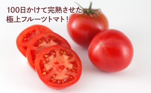 ふるさとのうぜい 故郷納税 ふるさと納税 とまと フルーツトマト 美味しい 高知県産 高知 トマト
