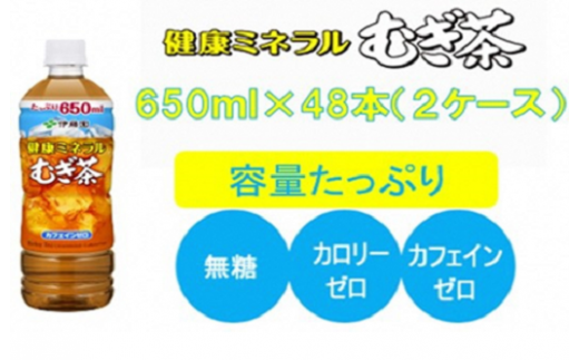 R5-13　健康ミネラルむぎ茶650ml PET×48本（2ケース）