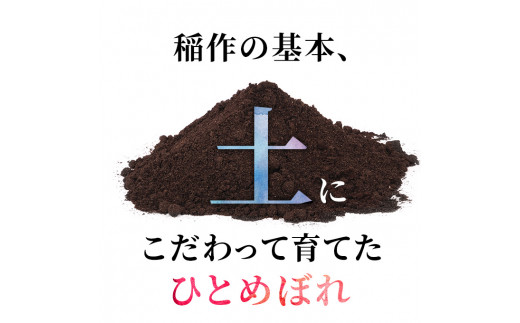 定期便〉 ひとめぼれ 白米 5kg×9回 計45kg 9ヶ月 令和4年 精米 土