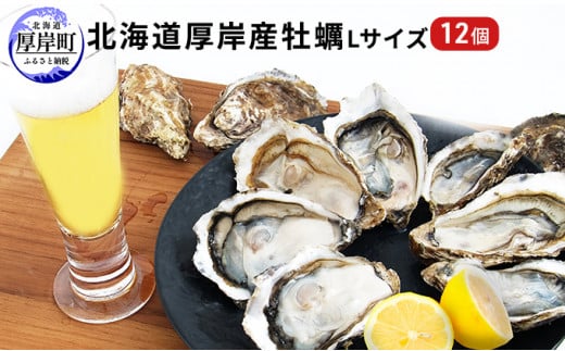 北海道厚岸産 牡蠣 Lサイズ 1ダース（12個入り） 生食用 [№5863-0301]