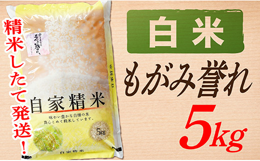 【10月より値上げ予定】SA11801-2【令和5年産】【白米】山形県産もがみ誉れ5kg 896821 - 山形県最上町