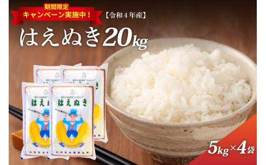 訳あり・緊急支援【選べる配送時期】はえぬき20kg （5kg×4袋）令和4