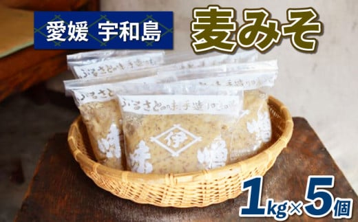 麦みそ 1kg ×5個 井伊商店 麦みそ 味噌 みそ 麦味噌 発酵 発酵調味料