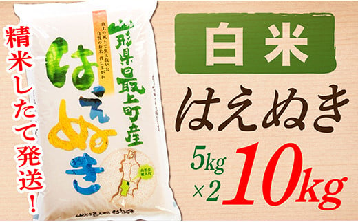 SA11202-2【令和5年産】【白米】山形県産はえぬき10kg