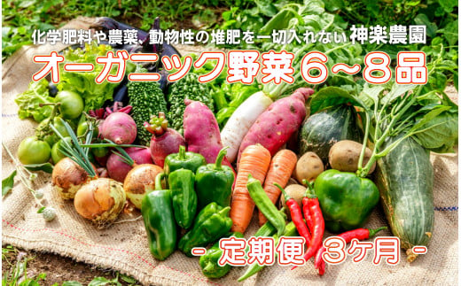 予約受付【2023年7月～発送開始/定期便/3ヶ月】オーガニック野菜　6～8品