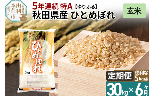 定期便6ヶ月》＜5年連続 特A＞ 秋田県産 ひとめぼれ 30kg【玄米】(5kg