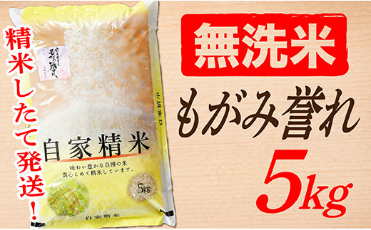 ふるさと納税 山形県 最上町 OG【令和5年産】無洗米 特別栽培米つや姫