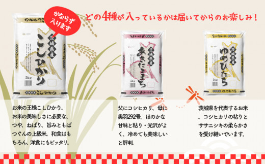 K1958 【令和5年産】 【3か月毎月発送】 定期便 3000セット 限定 お米 4種 食べくらべ 20kg 茨城県産