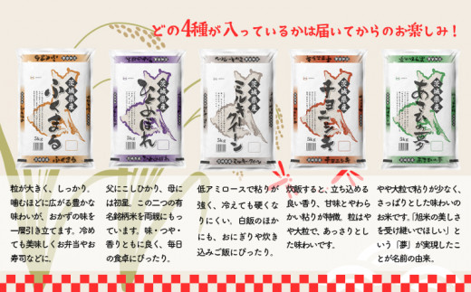 K1958 【令和5年産】 【3か月毎月発送】 定期便 3000セット 限定 お米