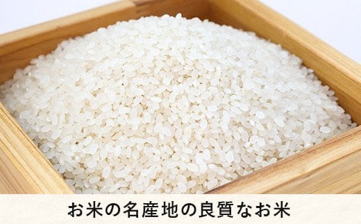 米 こしひかり 10kg × 6回 【 6か月 定期便 】( 令和5年産 ) ファームトヤ 沖縄県への配送不可 2023年10月上旬頃から順次発送予定  コシヒカリ 白米 精米 お米 信州 149000円 予約 農家直送 長野県 飯綱町 [1611]