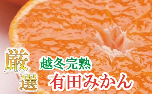 厳選　越冬完熟みかん3kg+90g（傷み補償分）【ハウスみかん】【光センサー選果】＜1月中旬より順次発送予定＞【ikd121B】 902148 - 和歌山県串本町