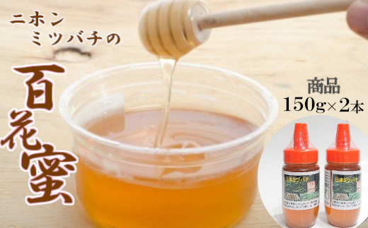 【数量限定】日本ミツバチの百花蜜2本セット（150ｇ×2）　【02402-0243】 901325 - 青森県七戸町