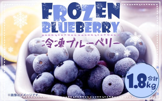 冷凍 ブルーベリー  1.8kg (600g×3袋)  411703 - 大分県九重町