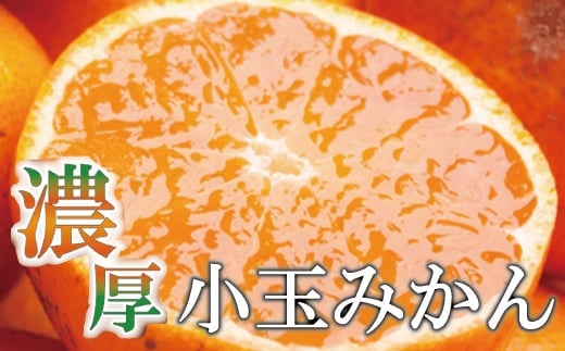 家庭用　小玉な有田みかん7.5kg+225g（傷み補償分）【わけあり・訳あり】【光センサー選果】＜11月上旬より順次発送予定＞【ikd118B】 902145 - 和歌山県串本町