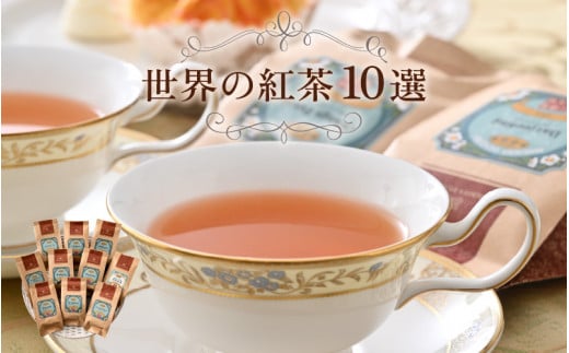 世界の紅茶 10選 人気の紅茶をセレクト [C-12205] 206525 - 福井県坂井市