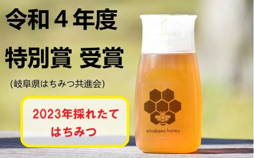 MINOKAMO HONEY はちみつ （ 300g ）| 藤井養蜂 蜂蜜 非加熱 百花蜜 国産 たれにくい M06S25|藤井養蜂