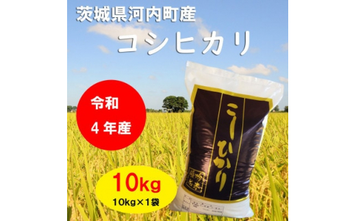 令和4年産]茨城県河内町産コシヒカリ10kg【1254349】 - 茨城県河内町