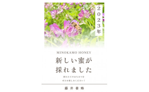 岐阜県美濃加茂市のふるさと納税 MINOKAMO HONEY はちみつ （ 300g ）| 藤井養蜂 蜂蜜 非加熱 百花蜜 国産 たれにくい M06S25