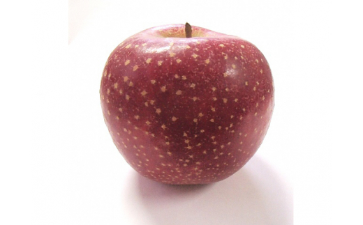 風丸農場 千雪りんごと赤いりんごのジュースセット 無添加 青森県産