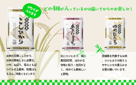 K1959 【6か月毎月発送】＜2024年02月下旬初回発送＞ 定期便 1000セット 限定 お米 4種 食べくらべ 20kg 茨城県産 -  茨城県境町｜ふるさとチョイス - ふるさと納税サイト