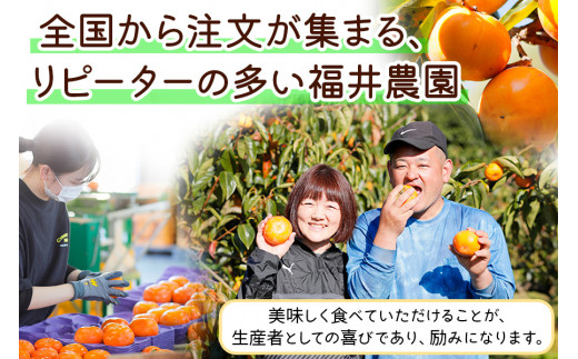 先行予約／令和6年産]《柿の王様》 福井農園の富有柿 ご家庭用 3kg M