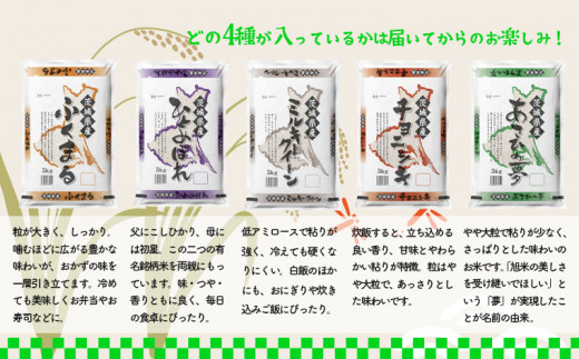 K1959 【6か月毎月発送】＜2024年02月下旬初回発送＞ 定期便 1000セット 限定 お米 4種 食べくらべ 20kg 茨城県産 -  茨城県境町｜ふるさとチョイス - ふるさと納税サイト