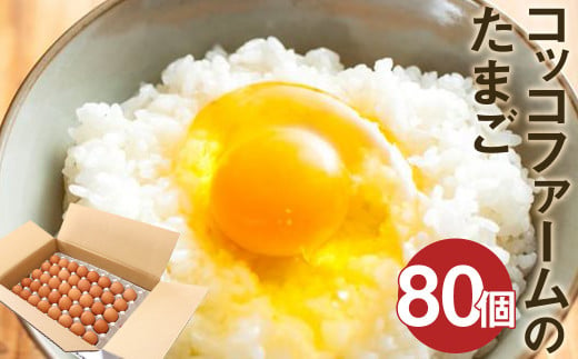 純国産鶏 コッコファーム の たまご 80個入 卵 玉子 鶏卵 989583 - 熊本県菊池市