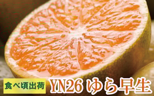 【先行予約】家庭用有田みかん サイズ混合(2S～2L) 7.5kg+250g  ※10月より発送(極早生)【わけあり・訳あり】※北海道・沖縄・離島配送不可 / みかん ミカン 果物 くだもの フルーツ 柑橘 和歌山 有田みかん 有田【ikd017B】 1525648 - 和歌山県すさみ町