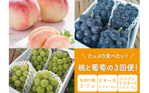 KF-T023【きよとうファーム】たっぷり食べたい！桃とピオーネ、シャインマスカットが届く３回便 (岡山県産) 901369 - 岡山県真庭市