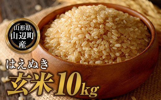 ≪先行予約≫2023年 山形県産 はえぬき 玄米 10kg(5kg×2)2023年10月下旬から順次発送 お米 米 ブランド米 こめ F21A-402 930430 - 山形県山辺町