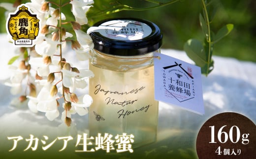 《 先行予約 》はちみつ 鹿角産 天然アカシア蜂蜜セット 160g×4【十和田養蜂場】●2025年7月上旬発送開始 非加熱 国産 生はちみつ アカシア ミツバチ 生はちみつ お中元 お歳暮 母の日 贈り物 贈答用 ホワイトデー グルメ ギフト 故郷 秋田 あきた 鹿角市 鹿角 送料無料  253616 - 秋田県鹿角市