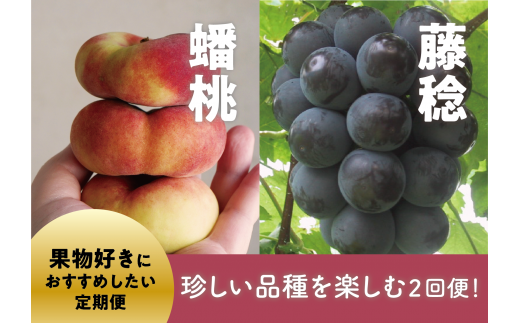 KF-T028【きよとうファーム】珍しい品種を楽しむ！蟠桃（桃）と藤稔（ぶどう）の２回便 (定期便)(岡山県産) 901371 - 岡山県真庭市
