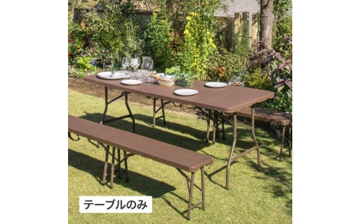 和歌山県海南市のふるさと納税 32905200 イージーキャリー ダイニングテーブル ラタン調 ブラウン