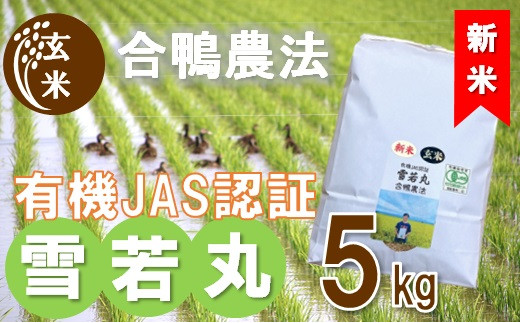 令和5年産・玄米】ecofarmすがわらの合鴨農法有機JAS認証雪若丸5kg