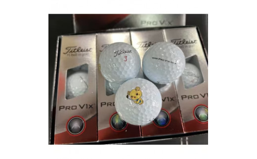 つちまる君 2023 タイトリスト PRO V1X ホワイト ゴルフボール 2ダース ...