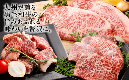 【3ヶ月定期便】 九州産 黒毛和牛 サーロイン と モモ 約計1.9kg 牛肉 国産 ステーキ