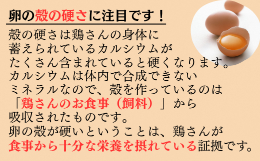 定期便6か月連続お届け】平飼い八雲鶏 彩り天佑卵 10個×3パック 【卵