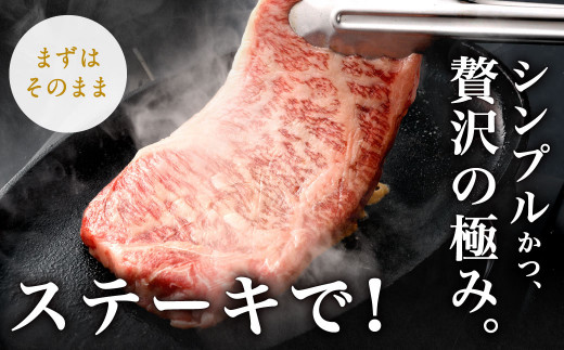 【6ヶ月定期便】 九州産 黒毛和牛 サーロインステーキ 合計約3kg (約250g×2枚×6回)