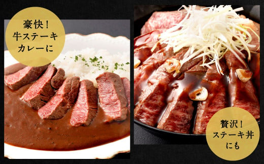 九州産 黒毛和牛 ヒレステーキ 約450g (約150g×3枚) 牛肉 国産 ステーキ