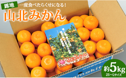 一度食べたらくせになる！高知県産 山北みかん 約5kg（露地 2S～Lサイズ） B-186