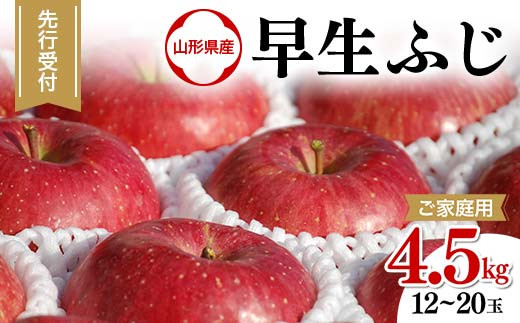 ≪先行予約≫【ご家庭用】2023年 山形県産 りんご 早生ふじ 4.5kg（12～20玉）2023年10月上旬から順次発送 生産者支援 フルーツ 果物 F21A-394 926275 - 山形県山辺町