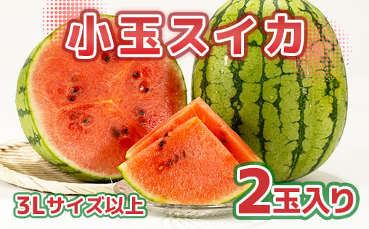 小玉スイカ 3Lサイズ以上2玉入り 西瓜 すいか 青果物 果物 フルーツ 野菜 902050 - 熊本県熊本市