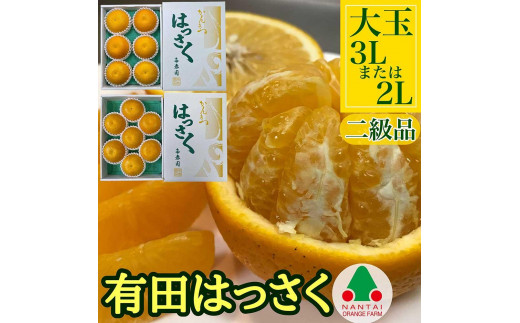 ちょっと 傷あり 手詰め 有田 はっさく 大玉 3L × 6玉 または 2L × 7玉