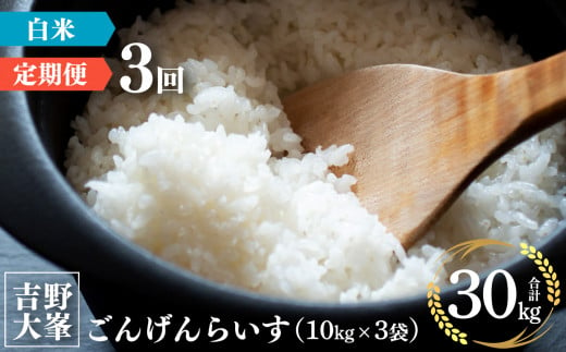 【定期便】奈良のお米のお届け便　10kg×3ヵ月連続 計30kg 白米 905586 - 奈良県吉野町