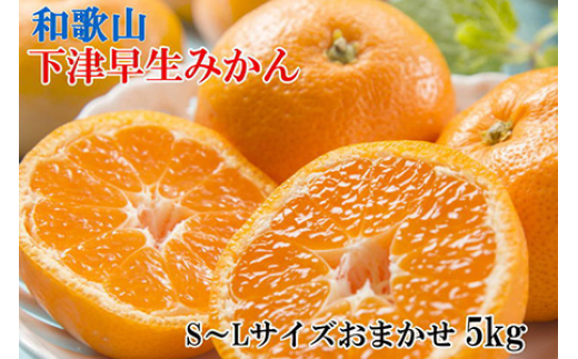【産直・秀品】和歌山下津みかん約5kg（S～Lサイズおまかせ） ※2025年11月中旬～2026年1月中旬頃に順次発送予定